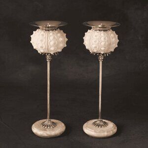 Sea Urchin Shell Candle Holder